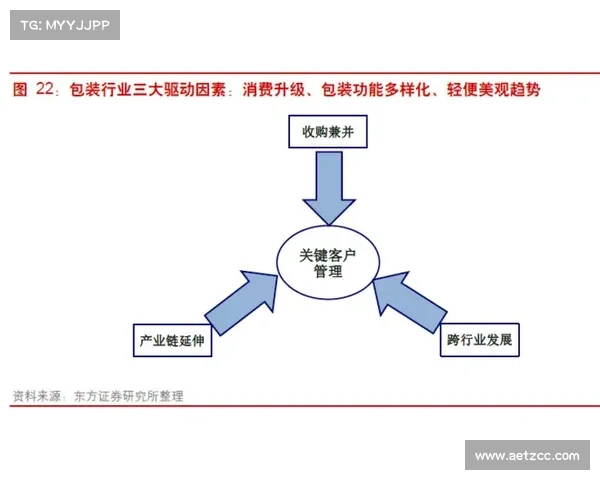 奥利塞成功之路的五个关键因素解析与深度剖析
